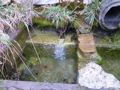 Fuente de las Vaquerizas - imagen 3
