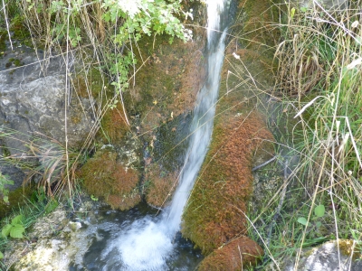 Fuente del Herrero - imagen 4