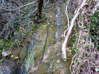 Fuente del Agujero - imagen 5