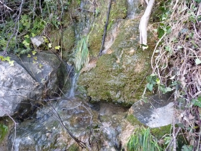 Fuente del Agujero - imagen 6