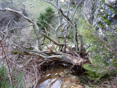 Fuente del Agujero - imagen 9