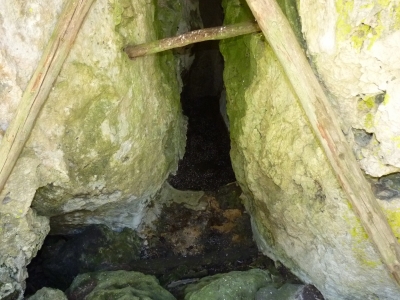 El Alambique - imagen 2