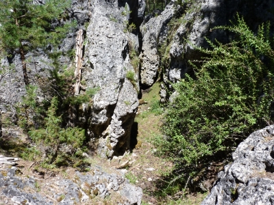 El Alambique - imagen 4