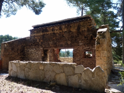 Fuente del Alto de la Vega - imagen 4