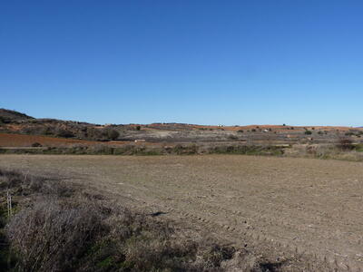 Amarga - imagen 5