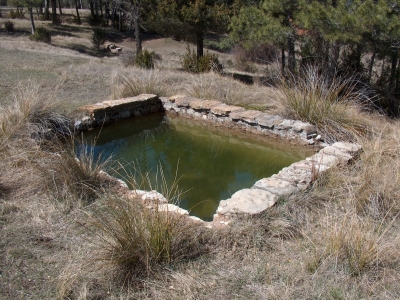 Fuente del Arenazo - imagen 5