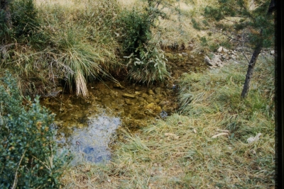 Fuente del Bañaero de los Gorrinos - imagen 1