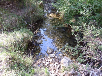Fuente del Bañaero de los Gorrinos - imagen 4