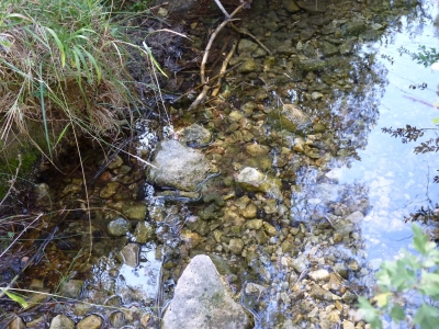 Fuente del Bañaero de los Gorrinos - imagen 5