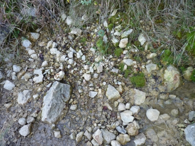Fuente de Barbarijas - imagen 1