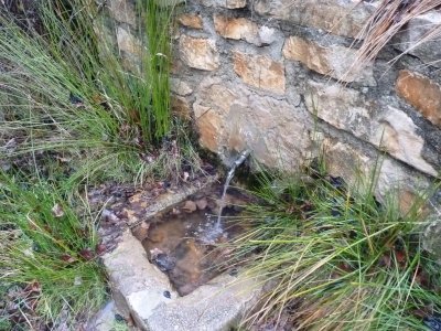 Fuente del Batán - imagen 3