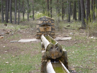 Fuente del Becerro - imagen 3