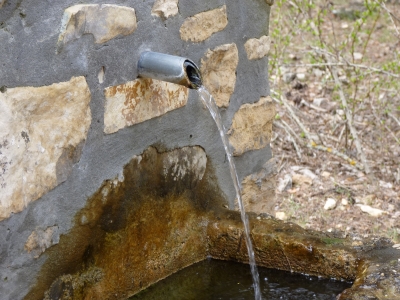 Fuente del Becerro - imagen 5