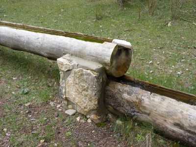 Fuente del Becerro - imagen 7