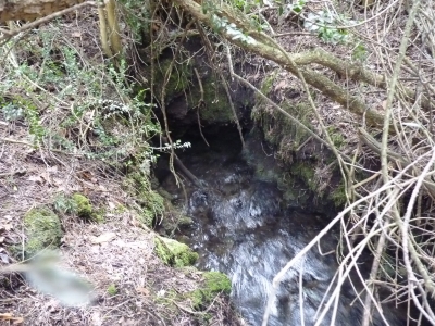 Las Berras - imagen 1