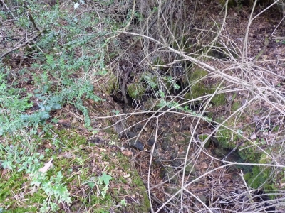 Las Berras - imagen 2