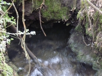 Las Berras - imagen 3