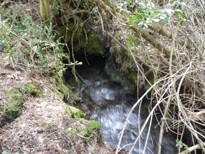 Las Berras - imagen 4