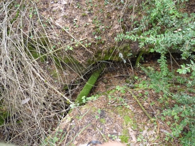 Las Berras - imagen 5