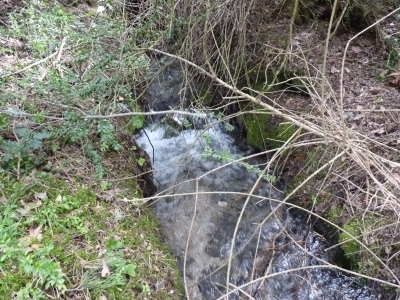 Las Berras - imagen 6