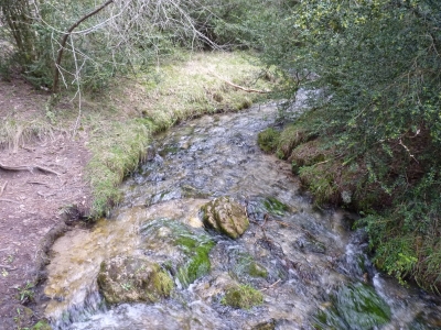 Las Berras - imagen 8