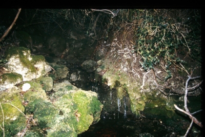 Fuente las Berras - imagen 2