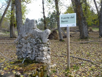 Fuente del Berro - imagen 2