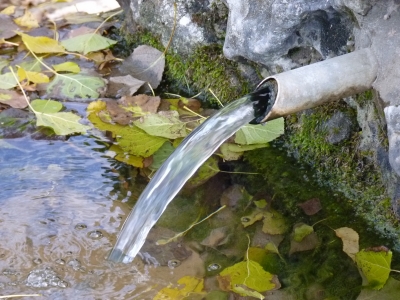 Fuente del Berro - imagen 5
