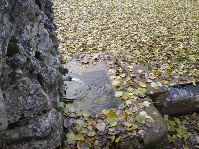 Fuente del Berro - imagen 7