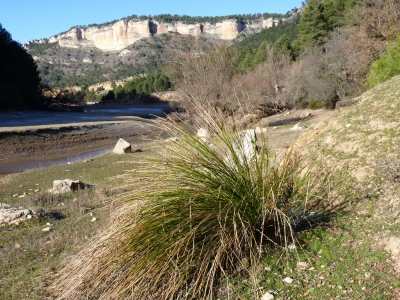 Fuente del Borrucho - imagen 1