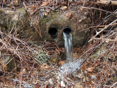 Fuente del Bruitre I - imagen 3