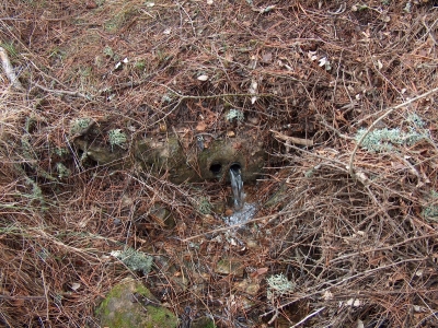 Fuente del Bruitre I - imagen 4