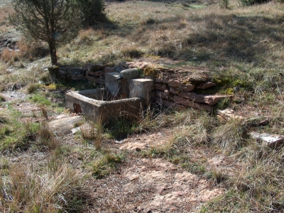 Fuente del buitre II - imagen 1