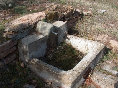 Fuente del buitre II - imagen 2
