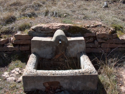 Fuente del buitre II - imagen 4
