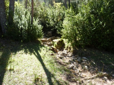 Fuente la Bujeda - imagen 7