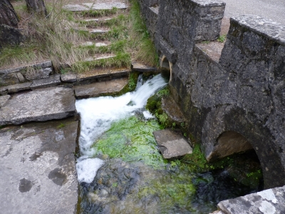 Fuente de la Calzadilla - imagen 4