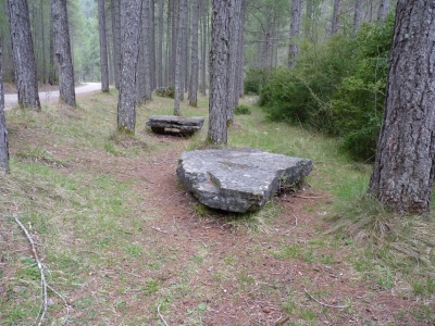 Fuente de la Calzadilla - imagen 6
