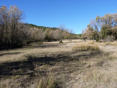 Fuente del Camino de la Parra - imagen 6