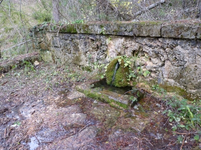 Fuente de la Canaleja - imagen 1