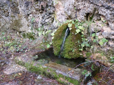 Fuente de la Canaleja - imagen 2