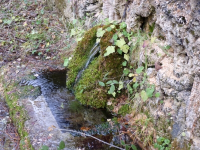 Fuente de la Canaleja - imagen 4