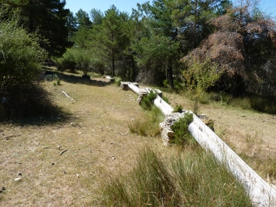Fuente la Canaleja - imagen 8