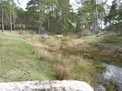Fuente de la Cañada de las Tablas I - imagen 6