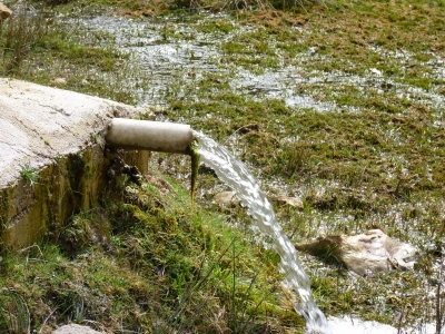 Fuente de la Cañada de las Tablas I - imagen 7
