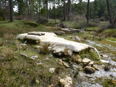 Fuente de la Cañada de las Tablas I - imagen 8