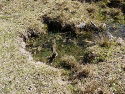 Fuente de la Cañada del Mostajo - imagen 1