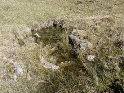 Fuente de la Cañada del Mostajo - imagen 3