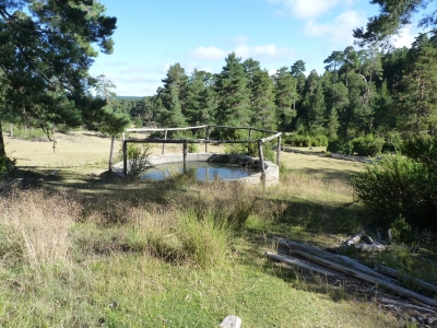 Fuente de la Cañada del Perro - imagen 7