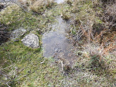 Fuente de la Casa de las Caponeras - imagen 3